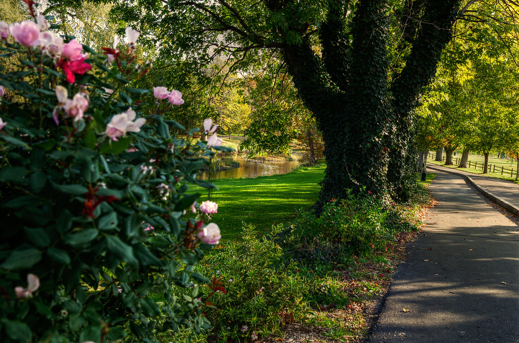 Province Park: The Pocket-Sized Paradise of Franklin