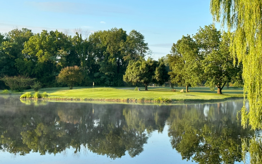 Where Birdies Take Flight (and Golfers Take a Dive): Tameka Woods Golf Course